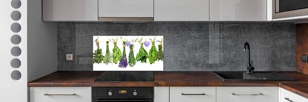 Konyhai hátfalpanel Herbs egy húr