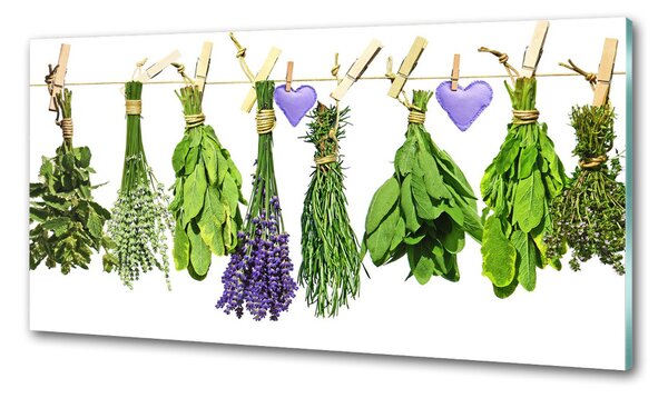 Konyhai hátfalpanel Herbs egy húr