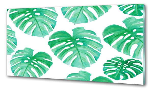 Konyhai hátfalpanel Monstera