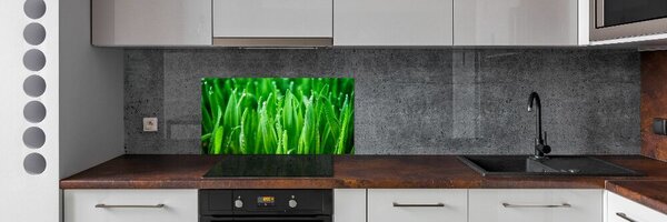 Konyhai falburkoló panel Fű