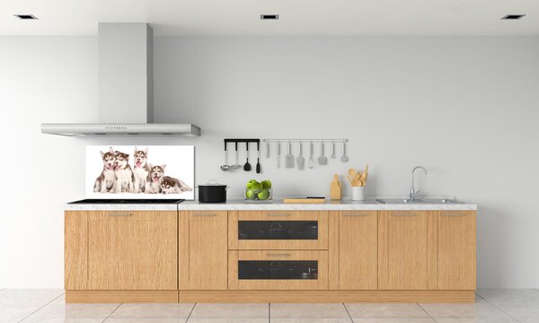 Konyhai fali panel Husky kiskutyák