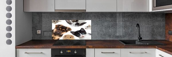 Konyhai fali panel Háziállatok