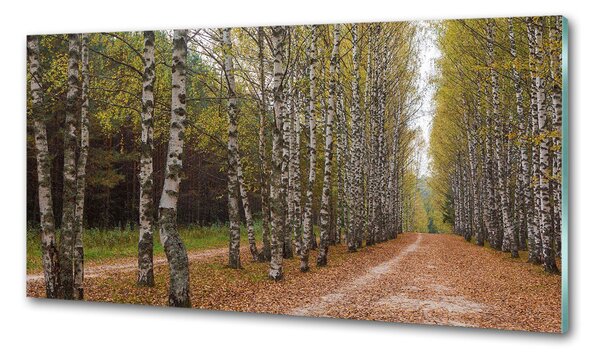 Konyhai dekorpanel Nyír alley