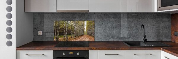 Konyhai dekorpanel Nyír alley