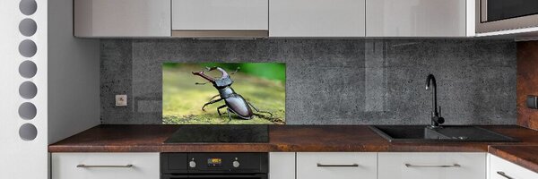 Konyhai fali panel Bogár
