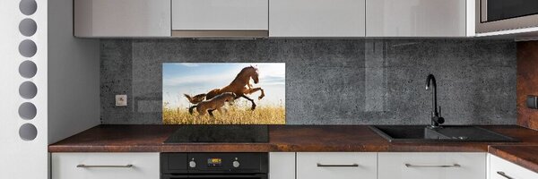 Konyhai fali panel Kanca csikó