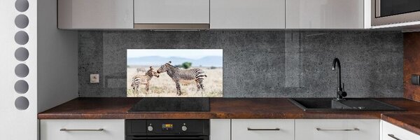 Konyhai fali panel Zebrák a hegyekben