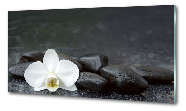 Konyhai falburkoló panel Orchidea
