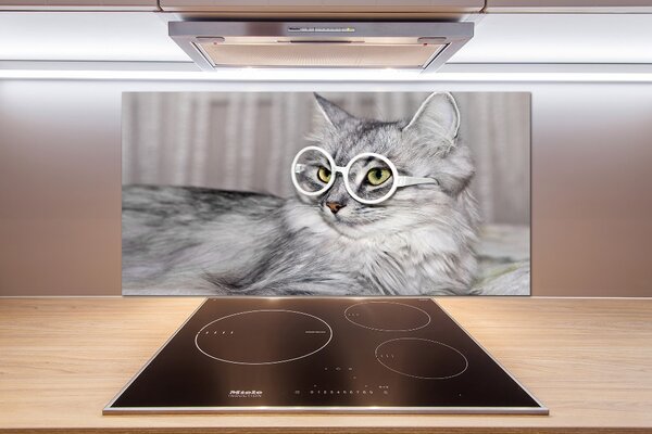 Konyhai fali panel Cat szemüveg