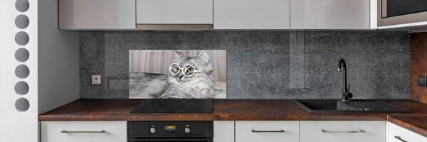 Konyhai fali panel Cat szemüveg