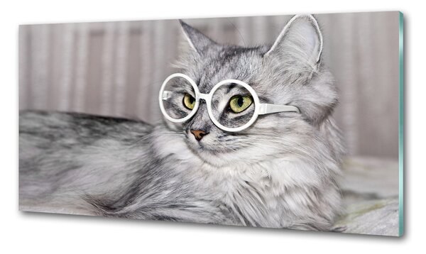 Konyhai fali panel Cat szemüveg