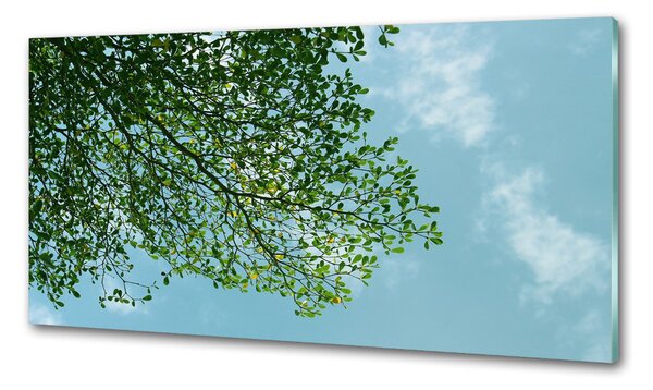 Konyhai dekorpanel A levelek az égen