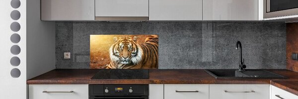 Konyhai fali panel Bengáli tigris