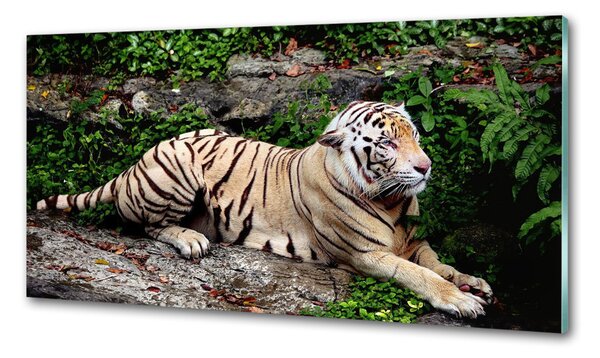 Konyhai fali panel Tiger a rock