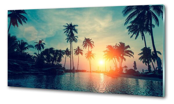 Konyhai dekorpanel Sunset tenyér
