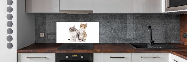 Konyhai fali panel Két kis macska