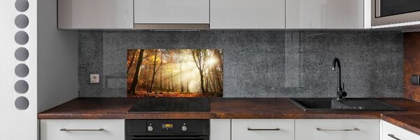 Konyhai dekorpanel Köd az erdőben