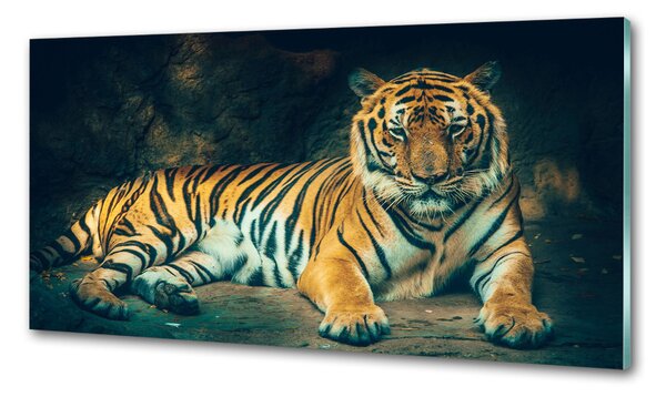 Konyhai fali panel Tiger cave