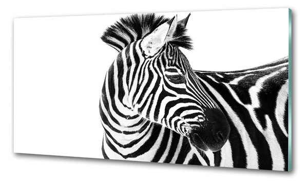 Konyhai fali panel Zebra hó