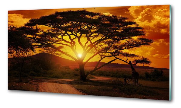 Konyhai dekorpanel Nyugat-afrika