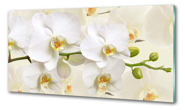 Konyhai falburkoló panel Orchidea