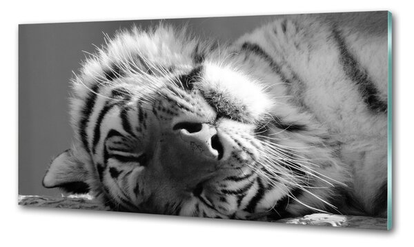 Konyhai fali panel Alvó tigris