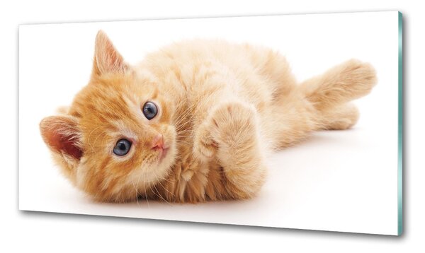 Konyhai fali panel Red cat