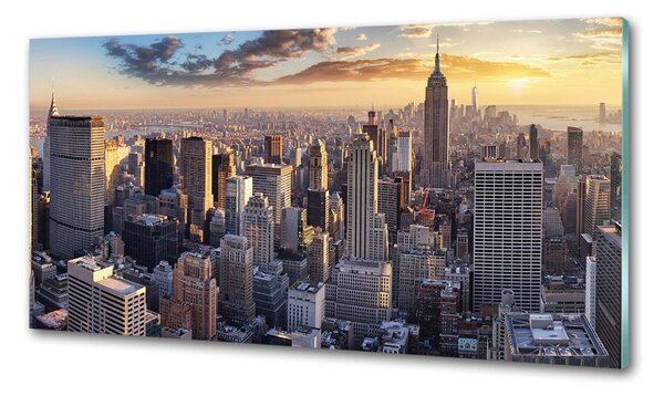 Konyhai falvédő New york-i járat madár