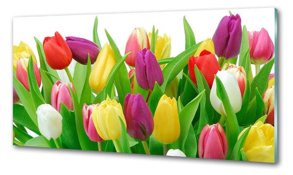 Konyhai falburkoló panel Színes tulipán