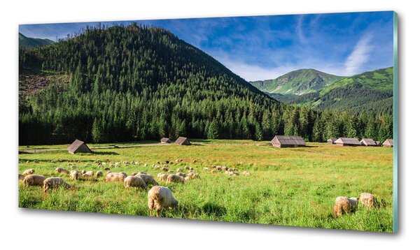 Konyhai dekorpanel Sheep a tátrában