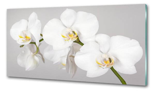 Konyhai falburkoló panel Orchidea