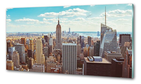Konyhai falvédő New york-i járat madár