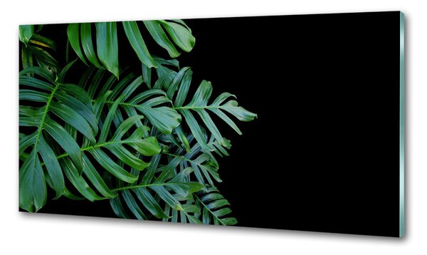 Konyhai falburkoló panel Monstera