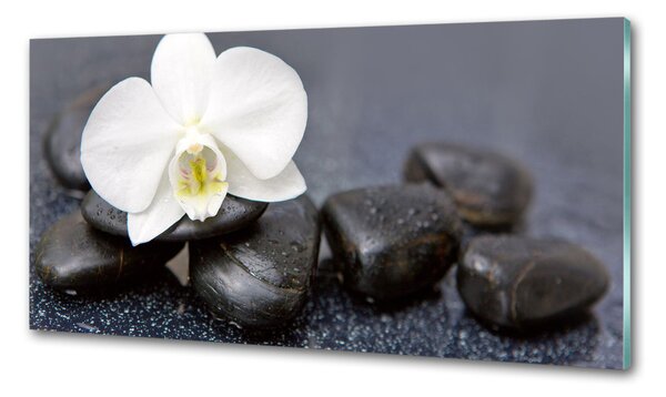 Konyhai falburkoló panel Orchidea