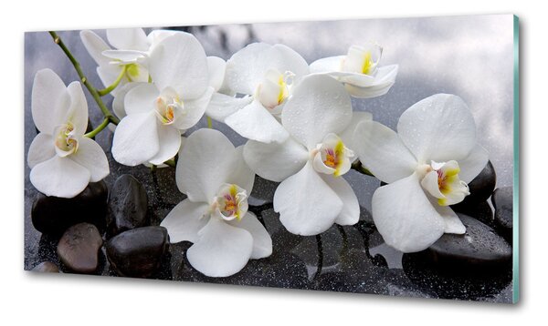 Konyhai falburkoló panel Orchidea