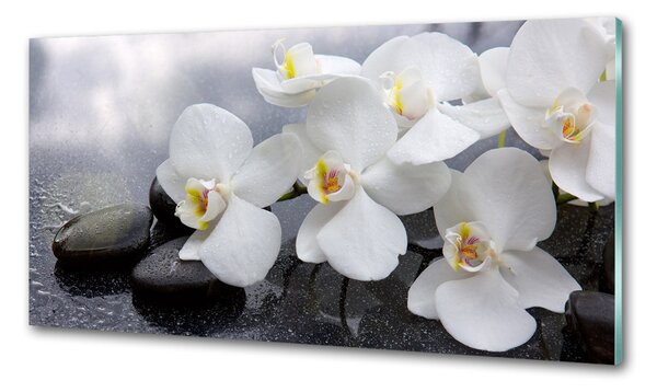 Konyhai falburkoló panel Orchidea