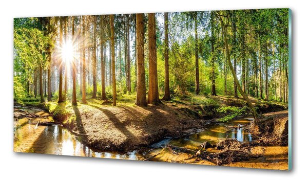 Konyhai dekorpanel Panorama erdő