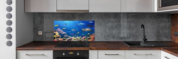 Konyhai fali panel Korallzátony