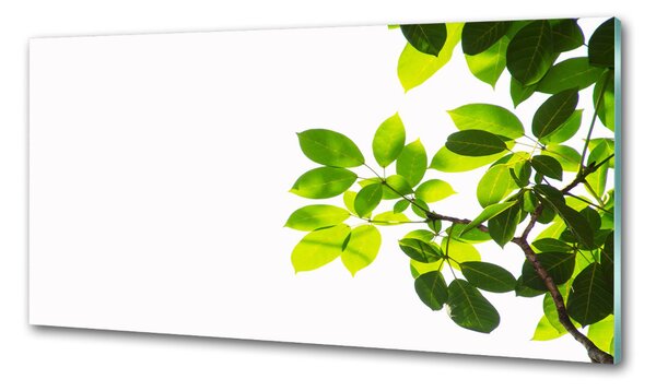 Konyhai falburkoló panel A levelek