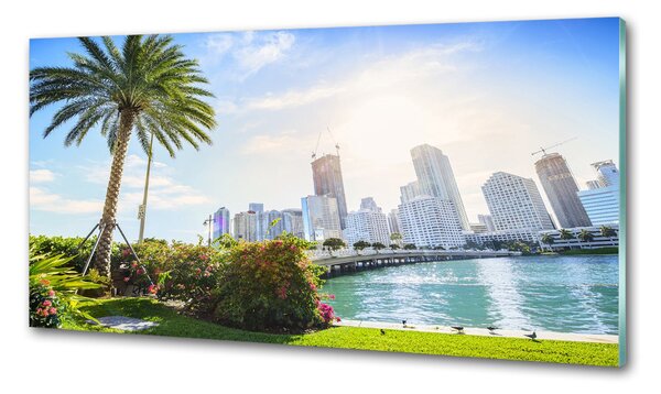 Konyhai falvédő Miami usa