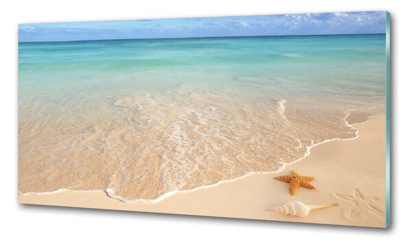 Konyhapanel Starfish a strandon
