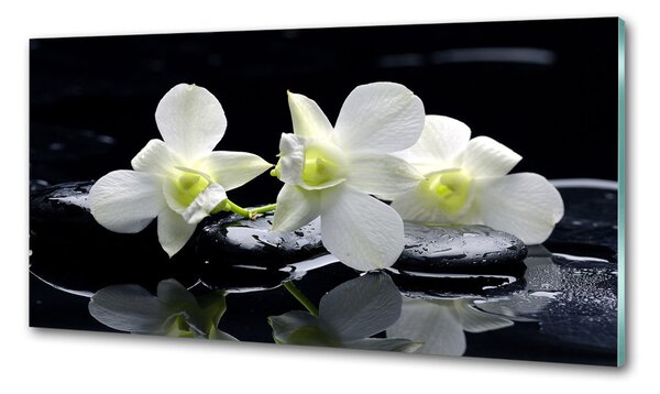Konyhai falburkoló panel Orchidea