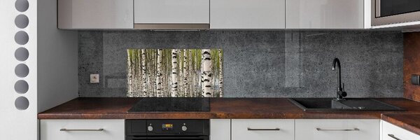 Konyhai falburkoló panel Nyírfa erdő