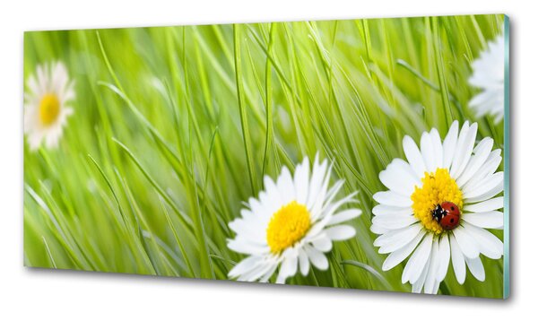 Konyhai falburkoló panel Margaréták