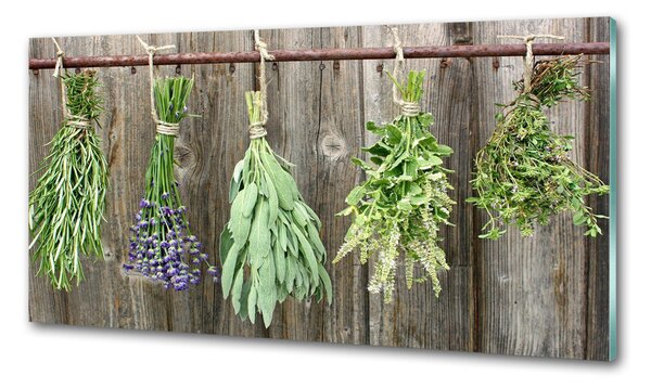Konyhai hátfalpanel Herbs egy húr