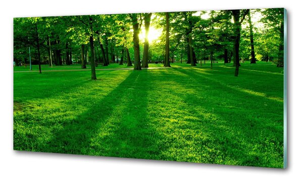 Konyhapanel A fű a parkban