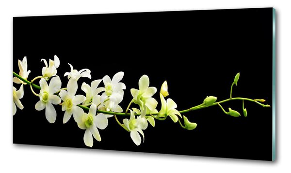 Konyhai falburkoló panel Orchidea