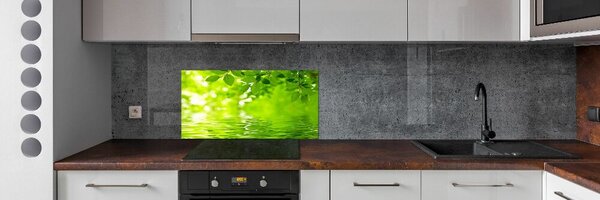 Konyhai falburkoló panel Zöld levelek