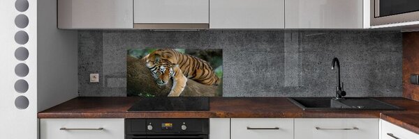 Konyhai fali panel Tiger a fán