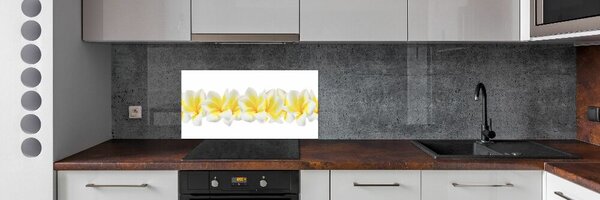 Konyhai falburkoló panel Plumeria